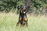 BEAUCERON 078